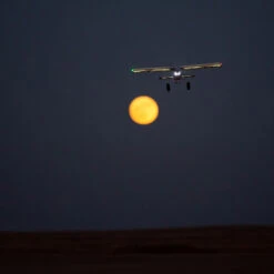 E-Flite Night Timber X 1.2m BNF Basic With AS3X And SAFE Select -Aircraft Model EFL13850 A15 AUDOLS7A