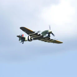 FMS Typhoon 1100mm PNP With Reflex -Aircraft Model FMM086PX A17 8XN6U3LL