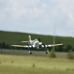 FMS Typhoon 1100mm PNP With Reflex -Aircraft Model FMM086PX A19 8XN6U3LL