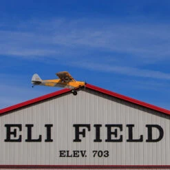 HANGAR 9 Carbon Cub 15cc ARF, 90" 41 HANGAR 9 Carbon Cub 15cc ARF, 90" -Aircraft Model HAN5065 A8 Y3VWKKGS