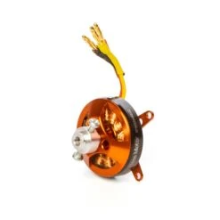 Spektrum Avian 2813-1750Kv Outrunner Brushless Motor